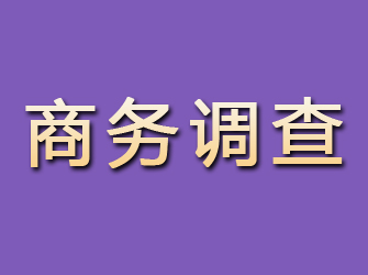 敖汉旗商务调查